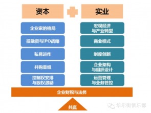 199IT企業(yè)軟件開發(fā)洞察 趨勢、挑戰(zhàn)與未來路徑